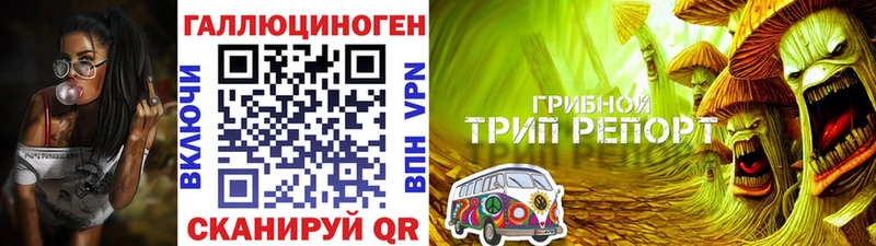 Галлюциногенные грибы Psilocybe  mega ТОР  Сертолово 